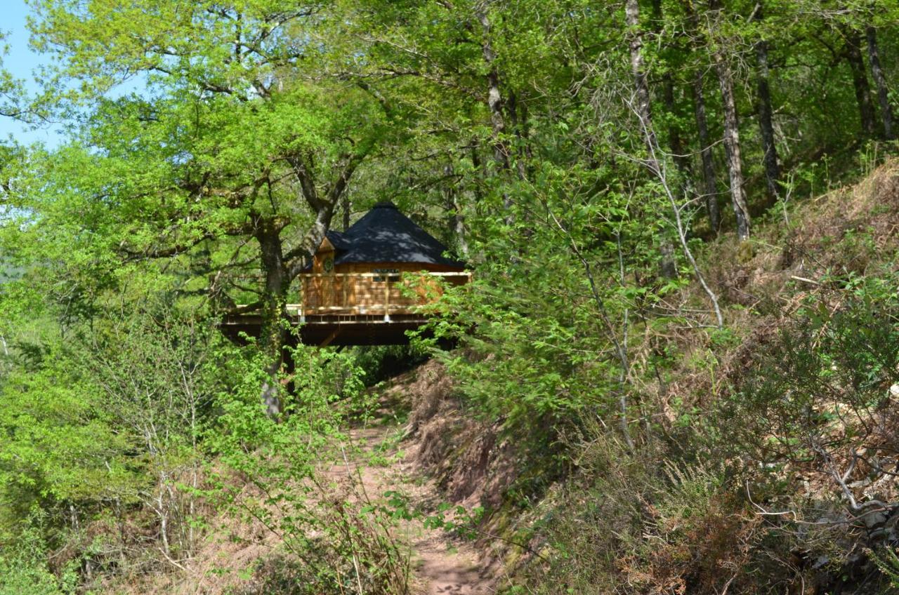 Ma Cabane En Aveyron Conques-en-Rouergue エクステリア 写真
