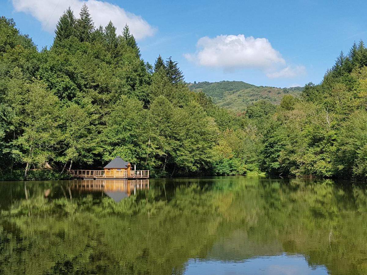 Ma Cabane En Aveyron Conques-en-Rouergue エクステリア 写真