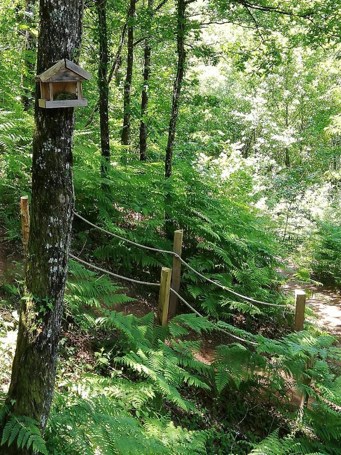 Ma Cabane En Aveyron Conques-en-Rouergue エクステリア 写真